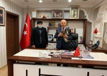 Bu güzel hayvanların sonunu getirmeyelim