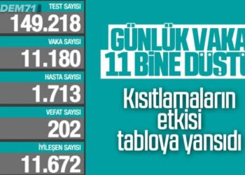 2 Ocak Türkiye’de Koronavirüs Son Durum