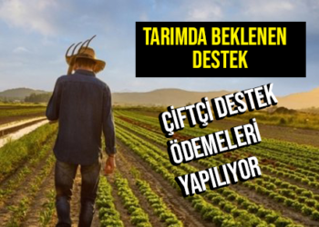 TARIMDA BEKLENEN DESTEK GELDİ !