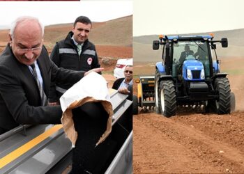 Çörek Otu Ekimine ilgi Arttı