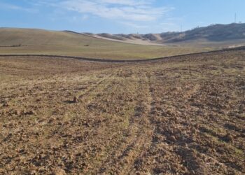 Kuraklık Korkutuyor