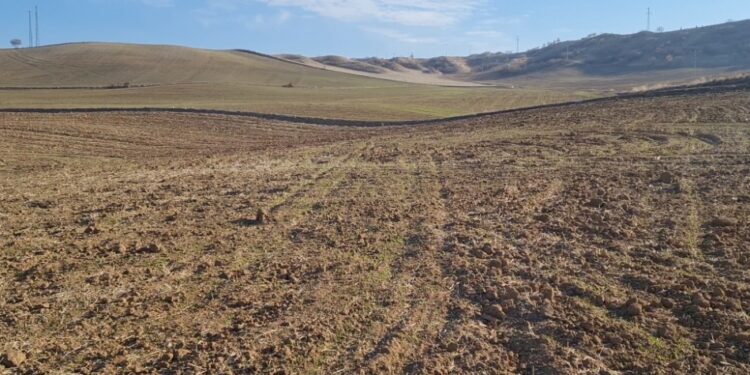 Kuraklık Korkutuyor