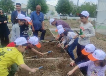 İzmarit Atma Tohum At