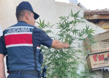 Jandarma operasyon için düğmeye bastı