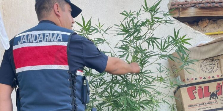 Jandarma operasyon için düğmeye bastı